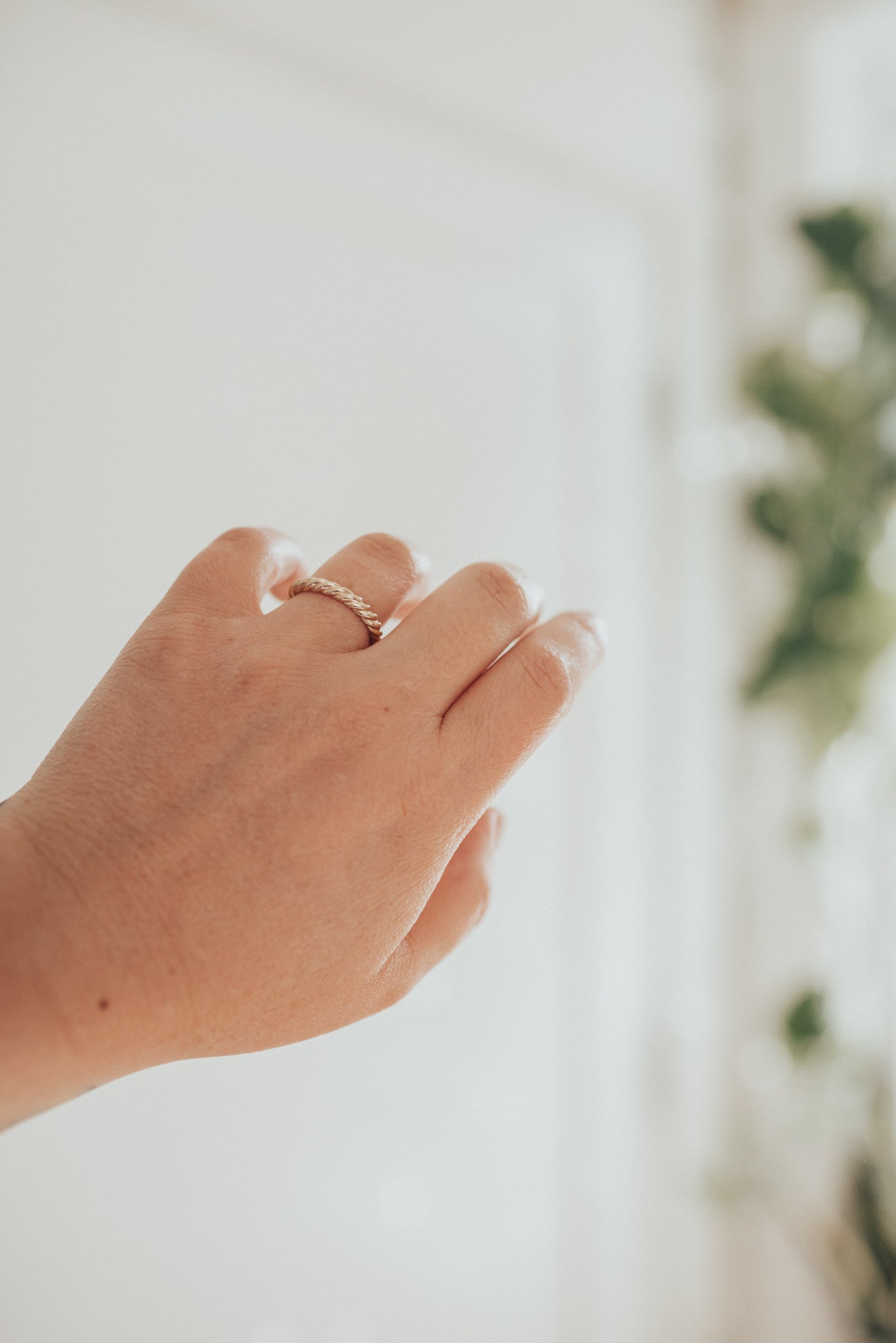 The Skinny Rope Band