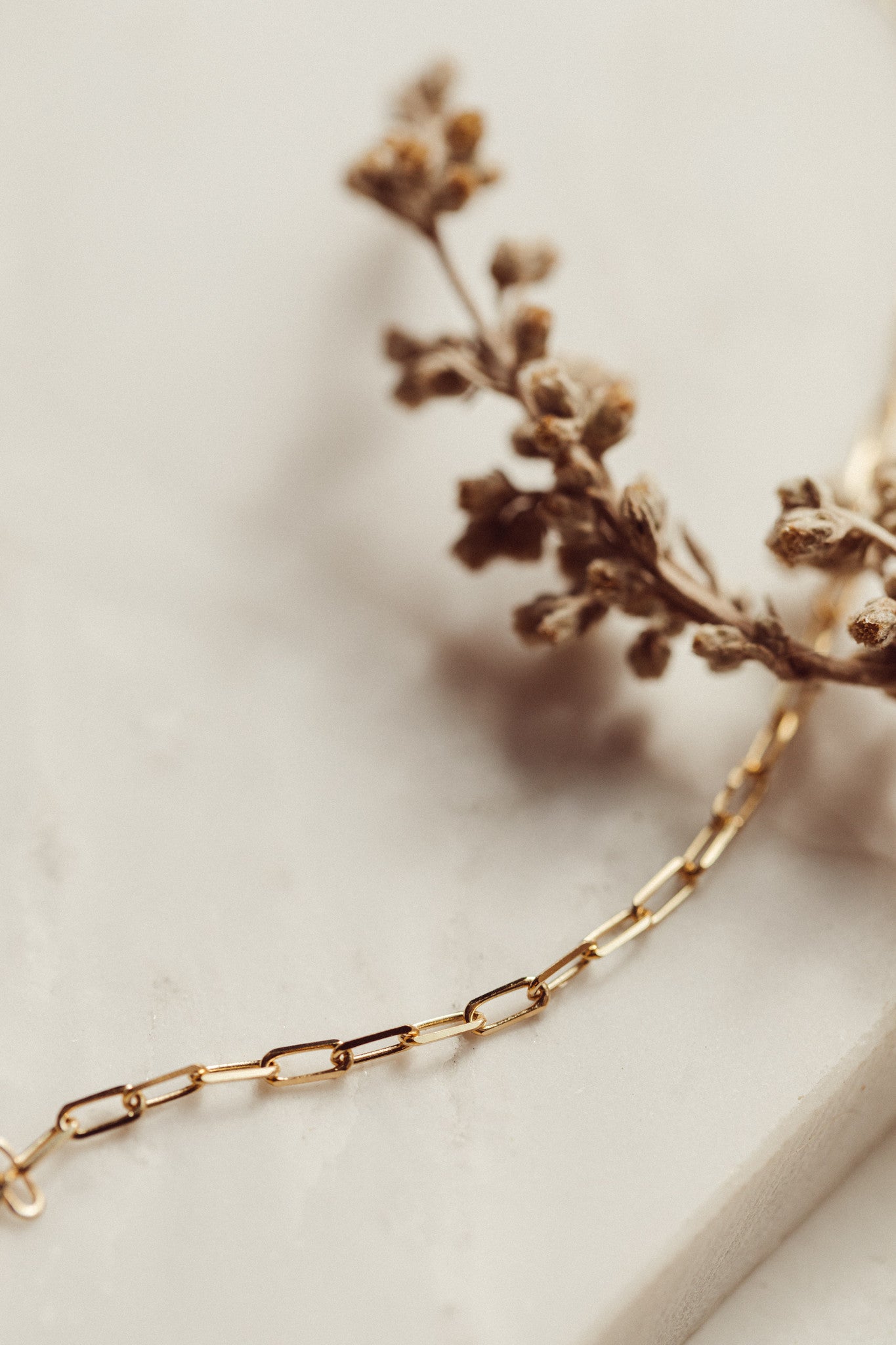 Paper Clip Chain Necklace