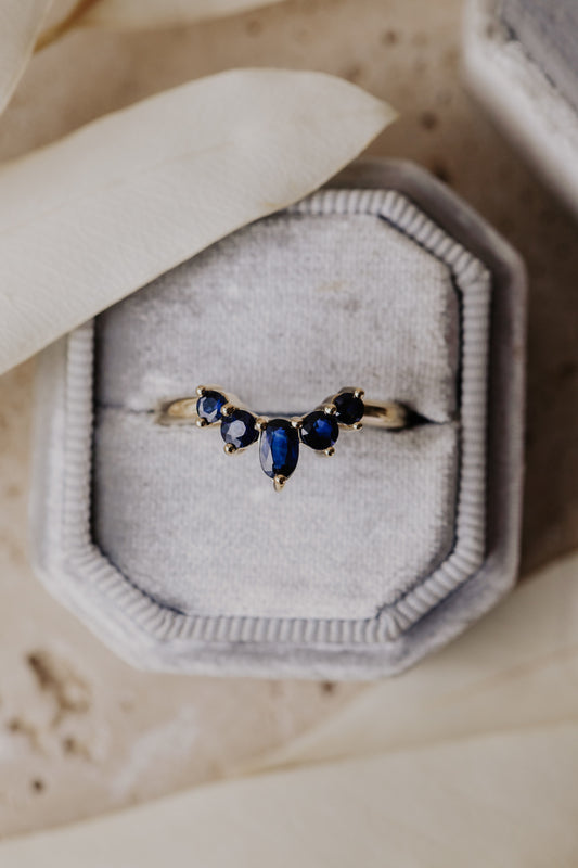 The Lily Sapphire Band