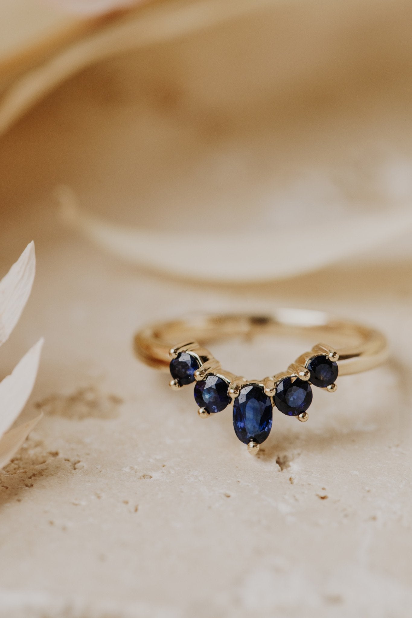 The Lily Sapphire Band