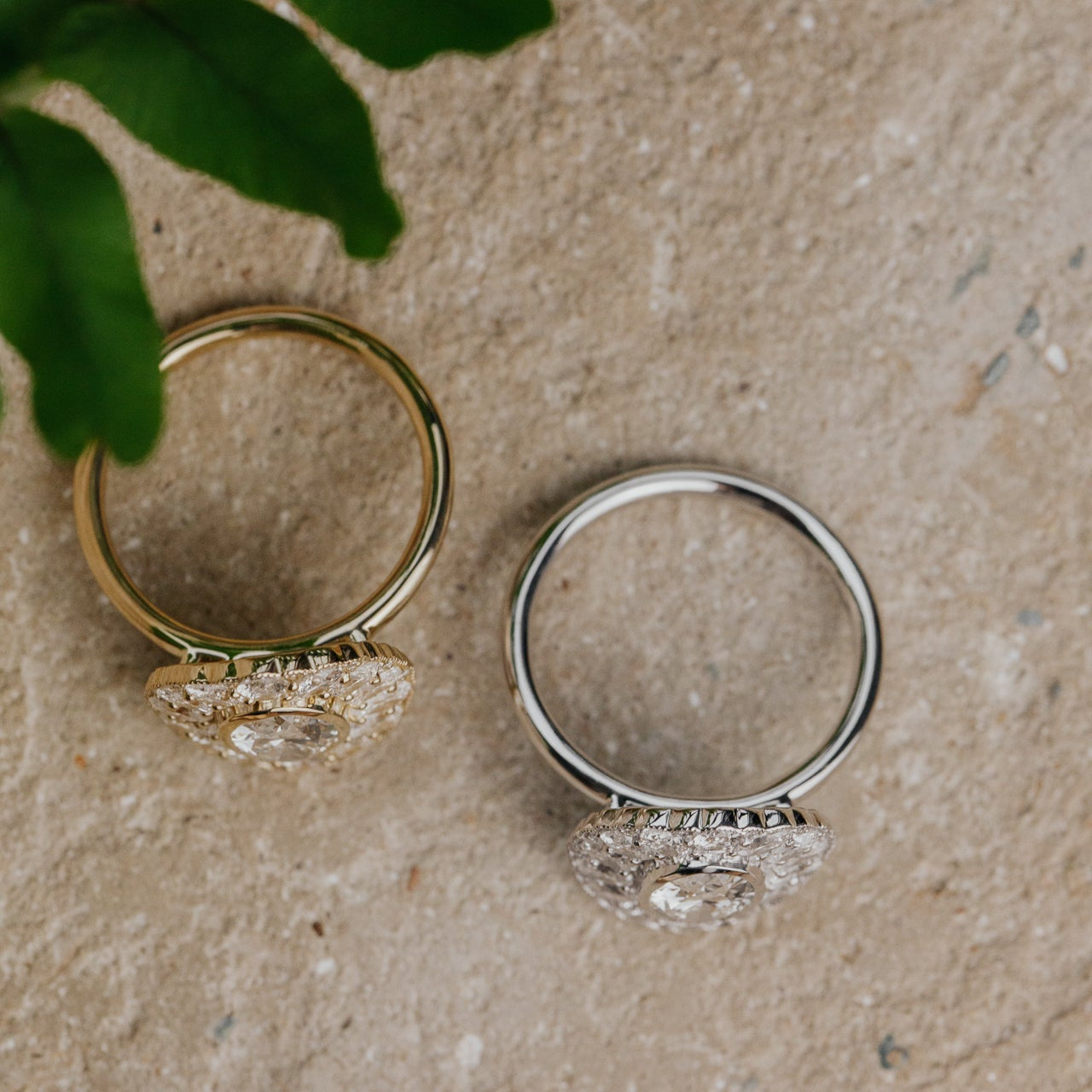 Two rings in white and yellow gold with diamond accents on a stone surface with green leaves.