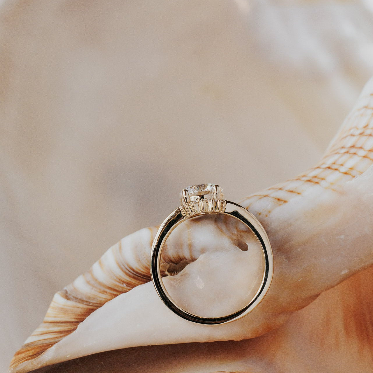 The Hampton Roung Ring