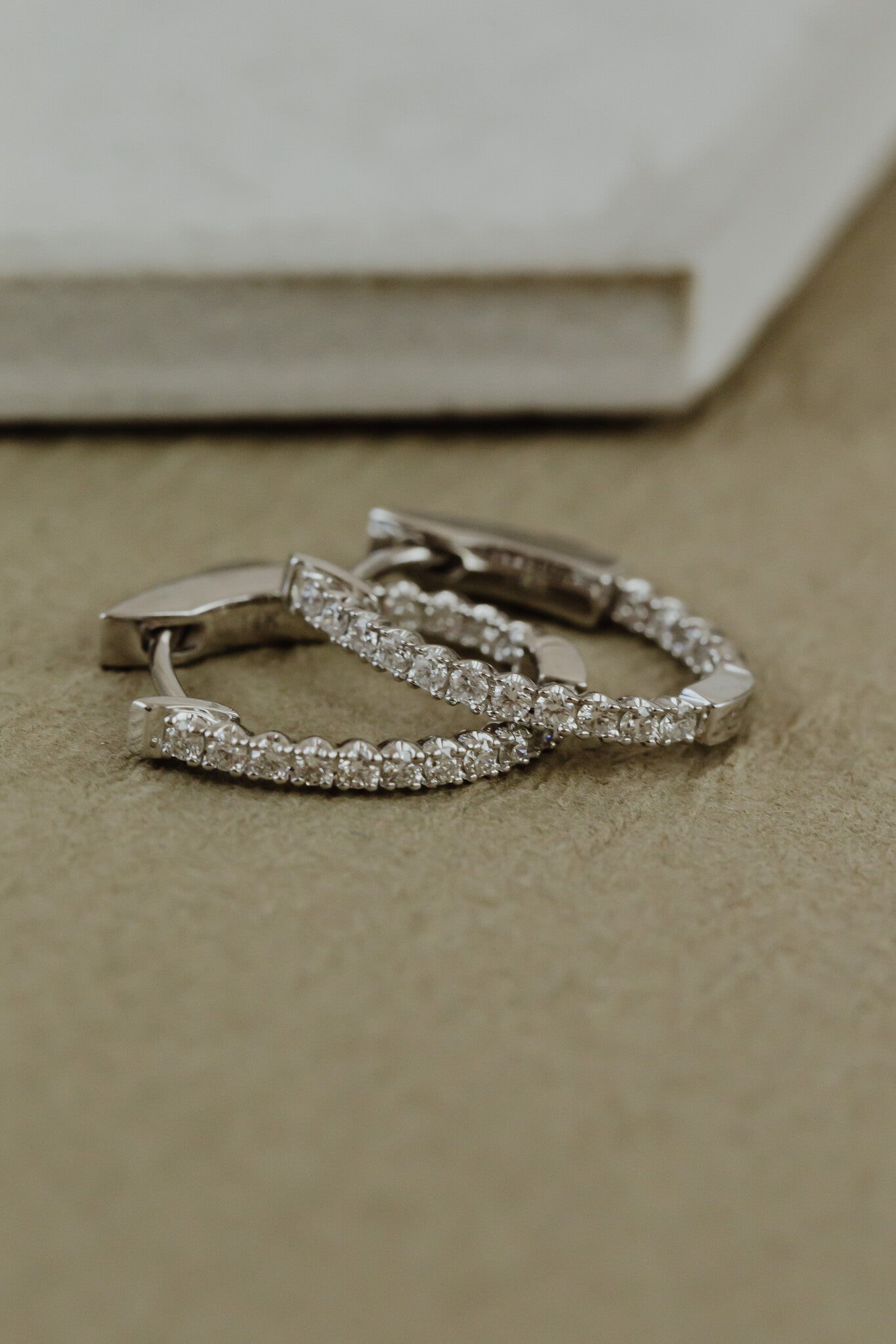 Oval Inside Out Hoop Earrings