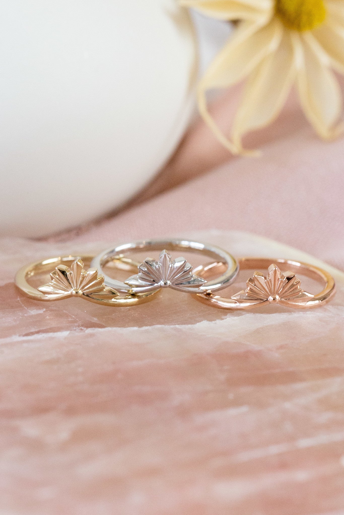 The Poppy Tracer Band