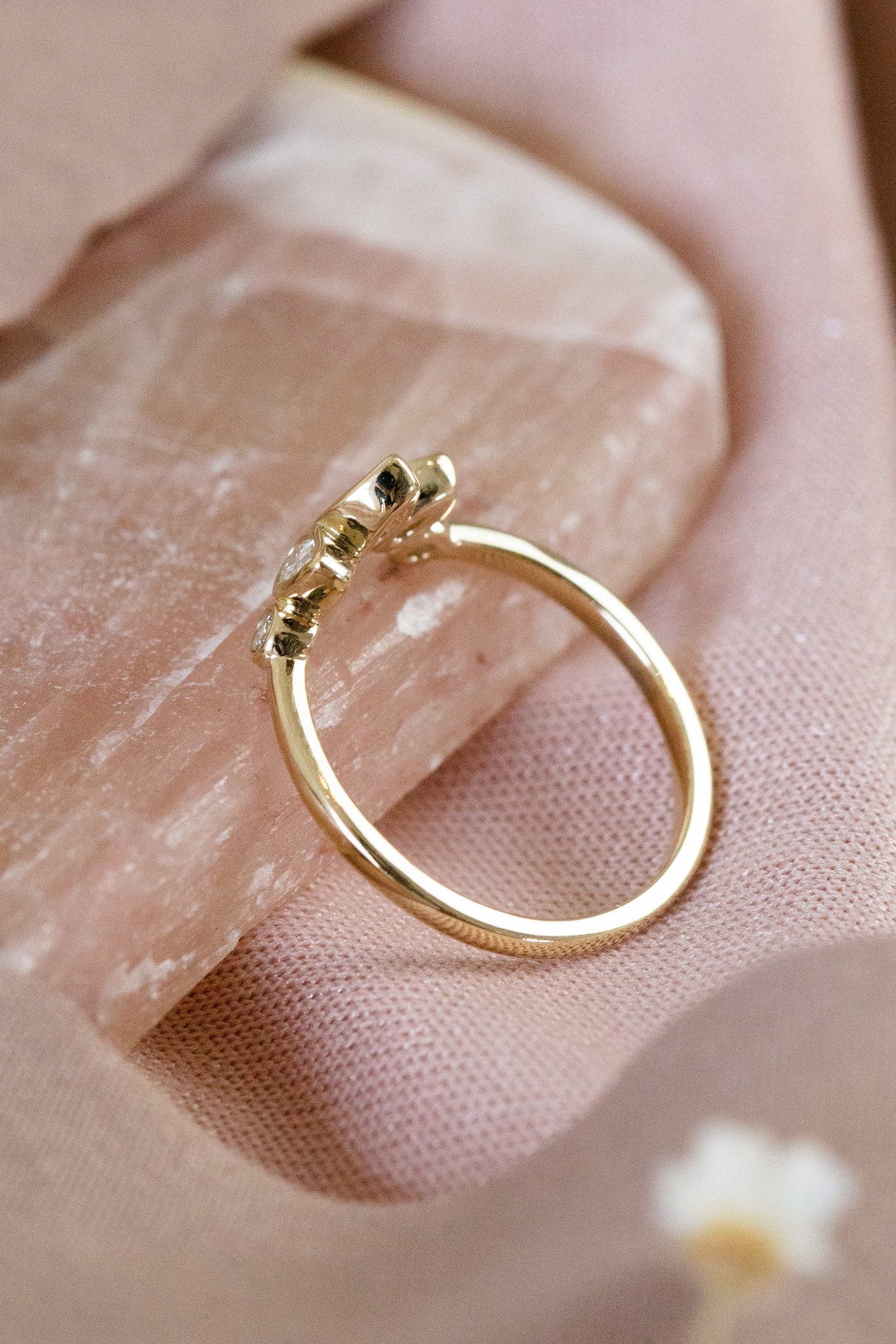 The Meadow Tracer Band