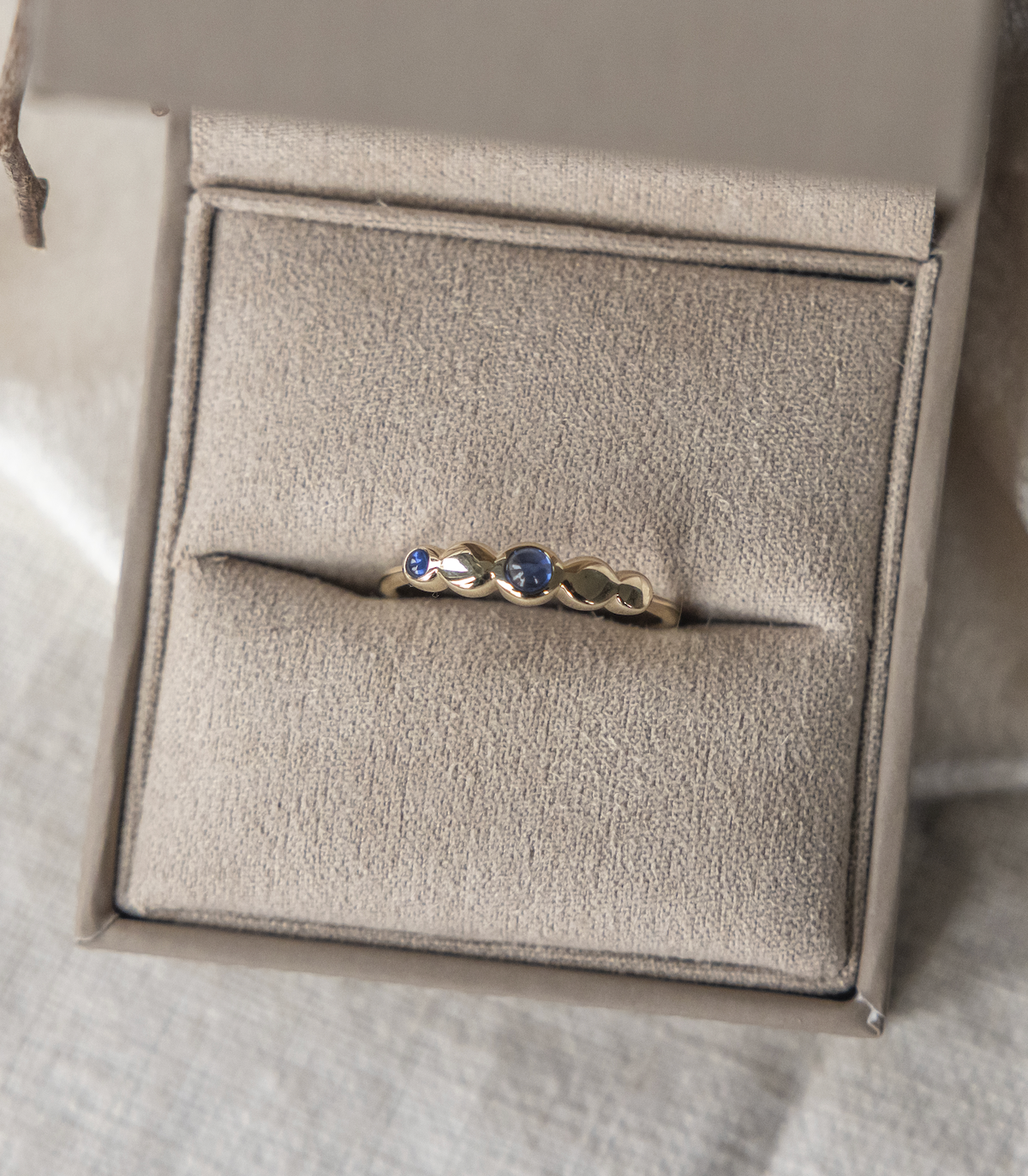 Two Sapphires with Circular Gold Accents Ring