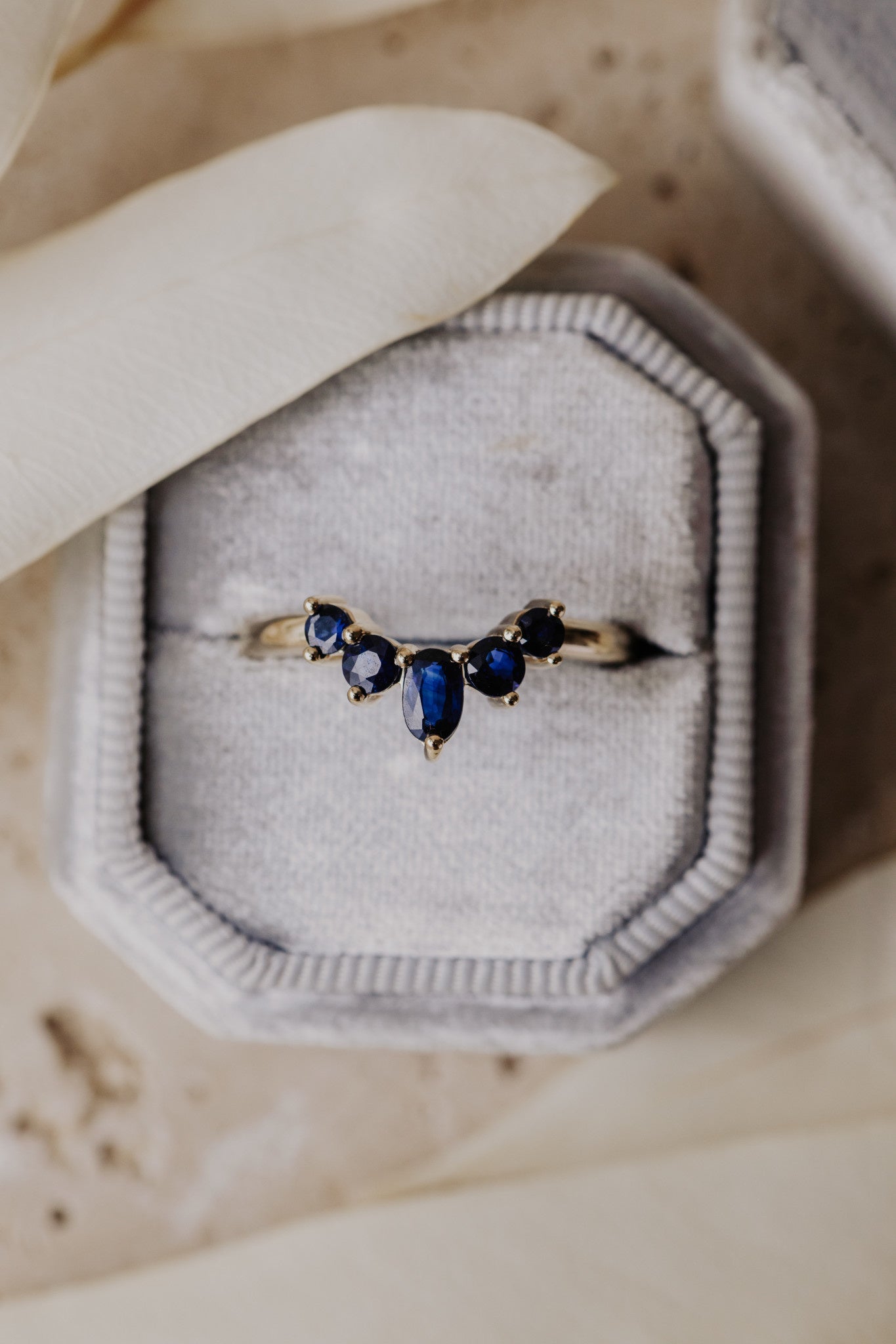 The Lily Sapphire Band