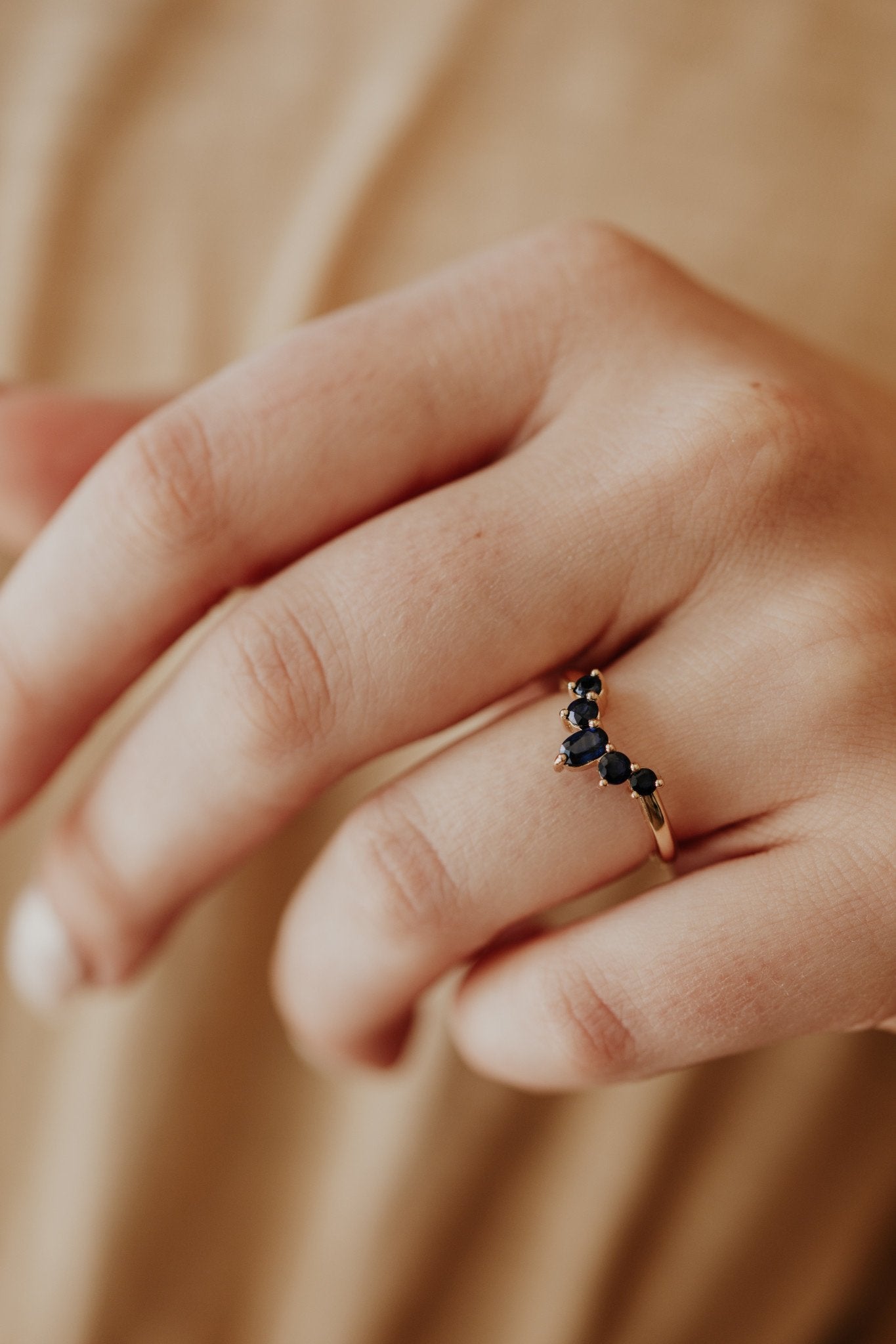 The Lily Sapphire Band