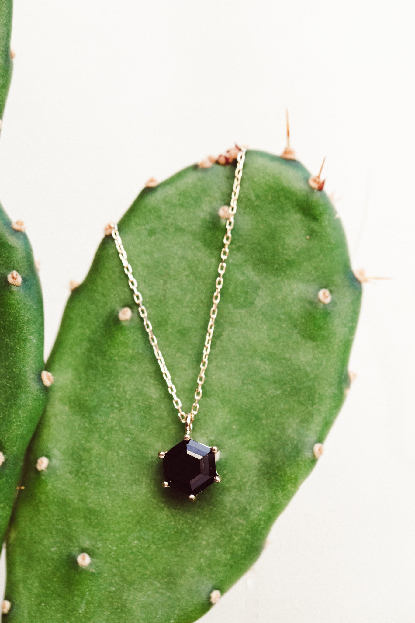 Hexagon Black Spinel 6 Prong Necklace