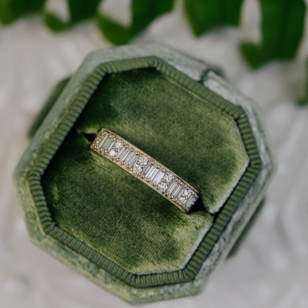 Diamond band in a green velvet box with a blurred green leafy background