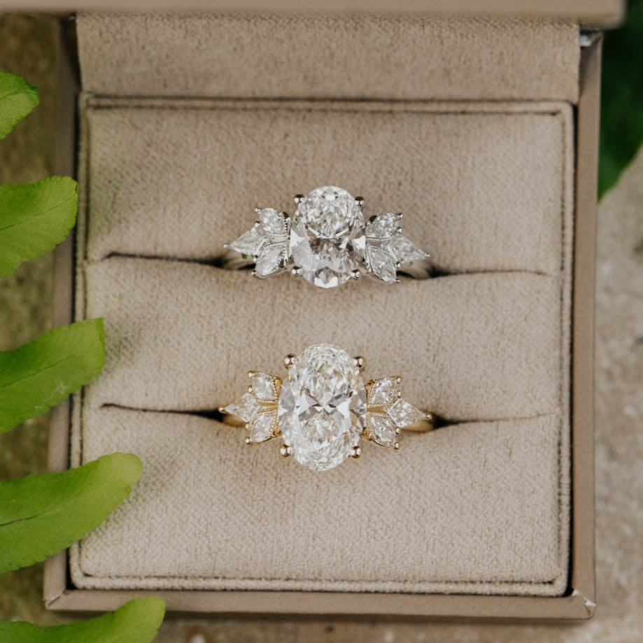 Two oval diamond rings on a beige jewelry box with green leaves in the background