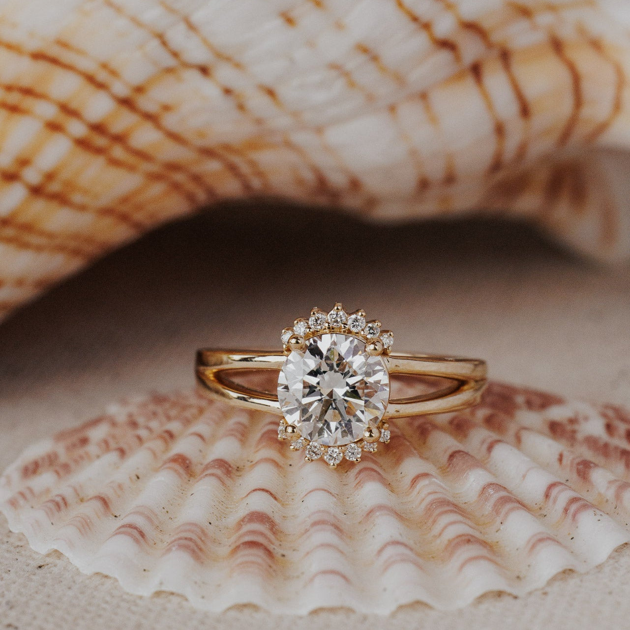 The Hampton Roung Ring