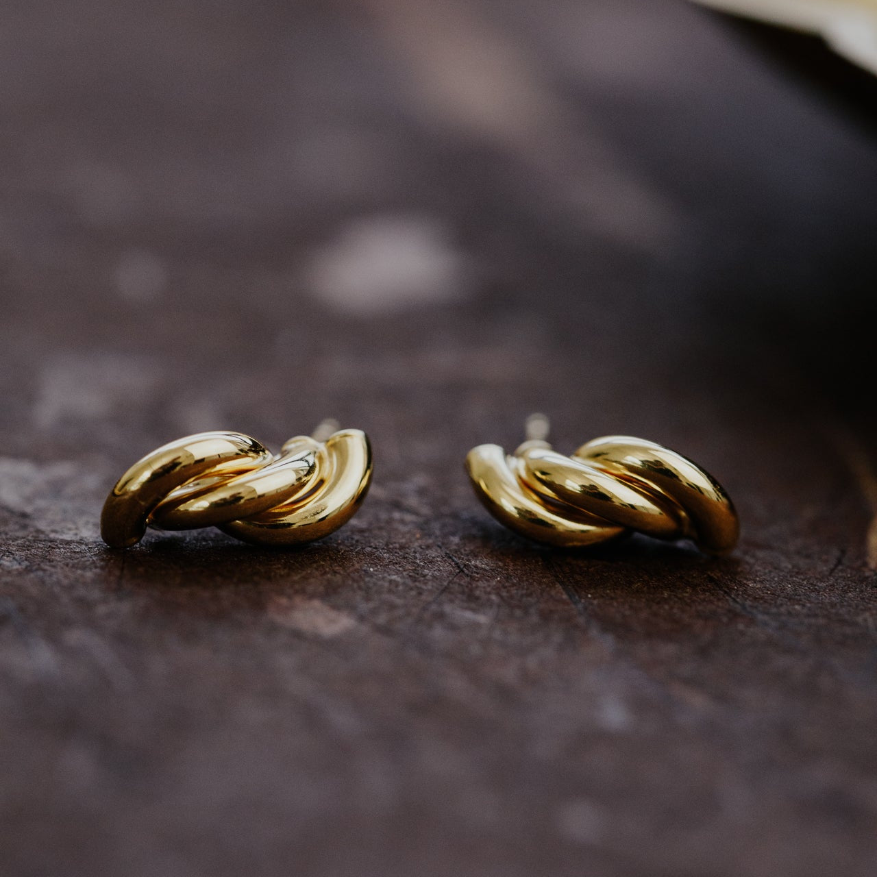 Pair of gold earrings on a dark surface