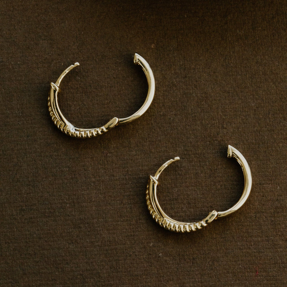 Pair of gold hoop earrings on a brown background