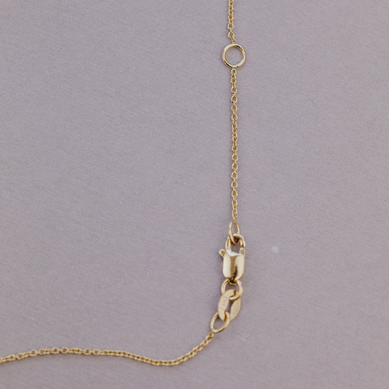 Gold chain with clasp on a gray background
