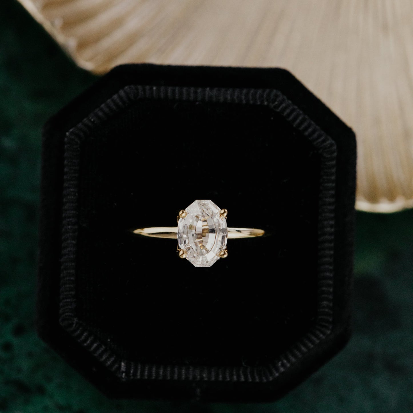 Oval diamond ring in a black box with a natural background.
