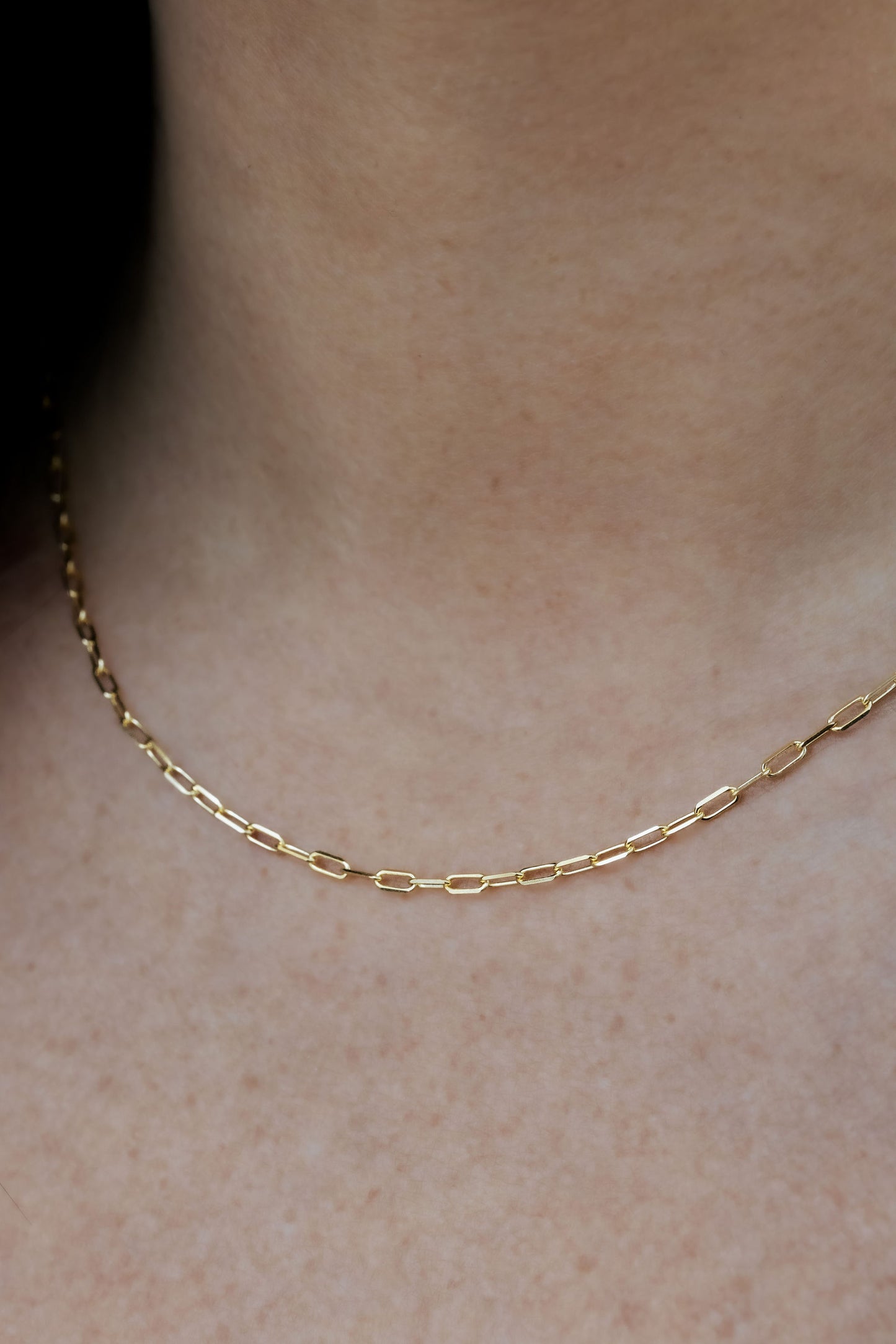 Paper Clip Chain Necklace