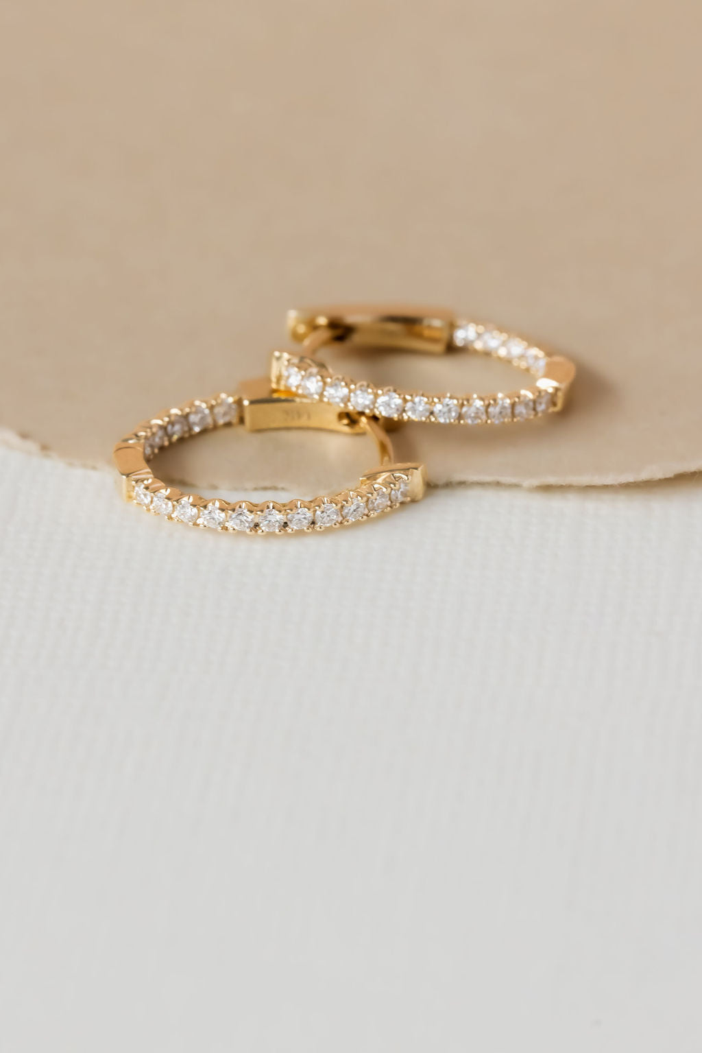 Oval Inside Out Hoop Earrings