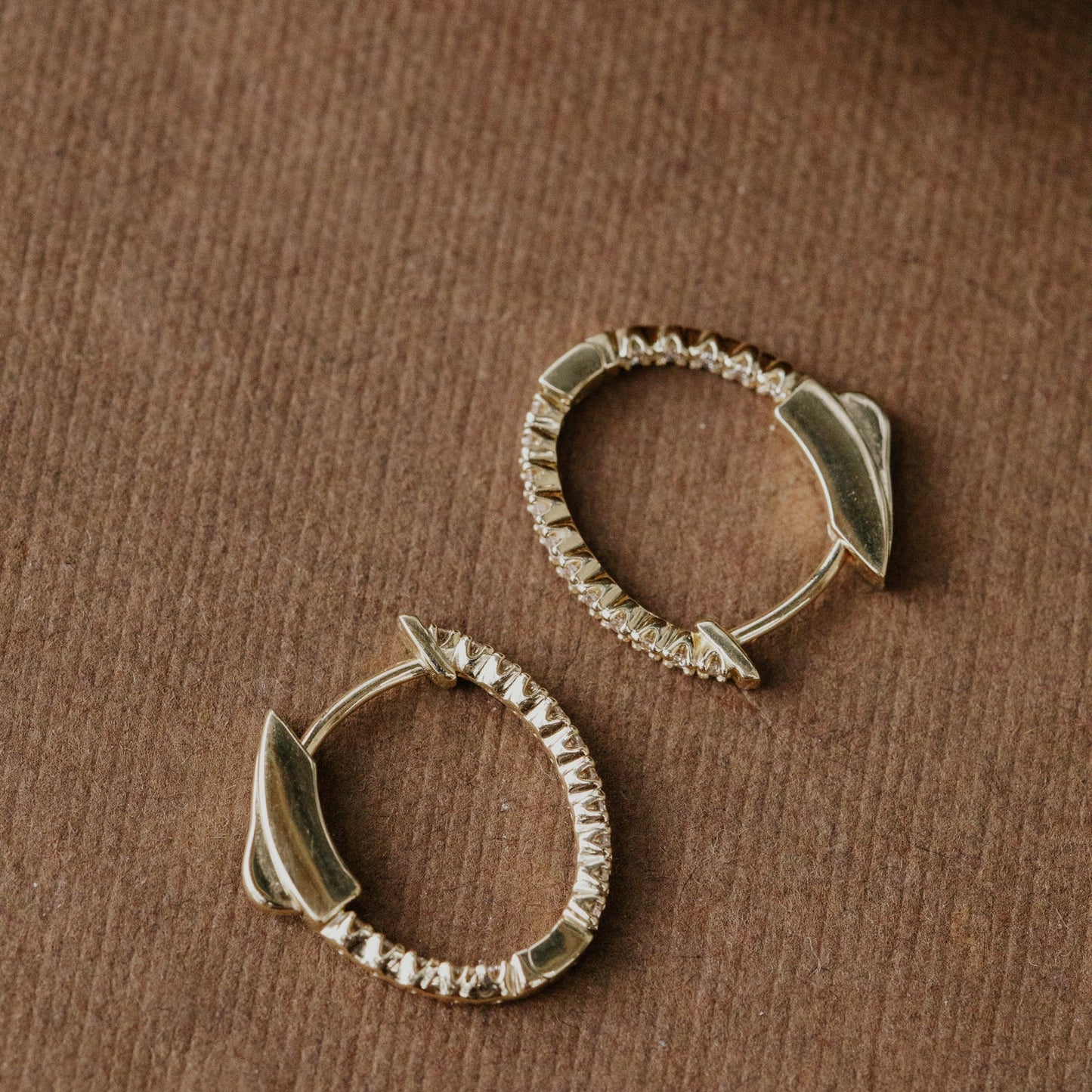 Oval Inside Out Hoop Earrings