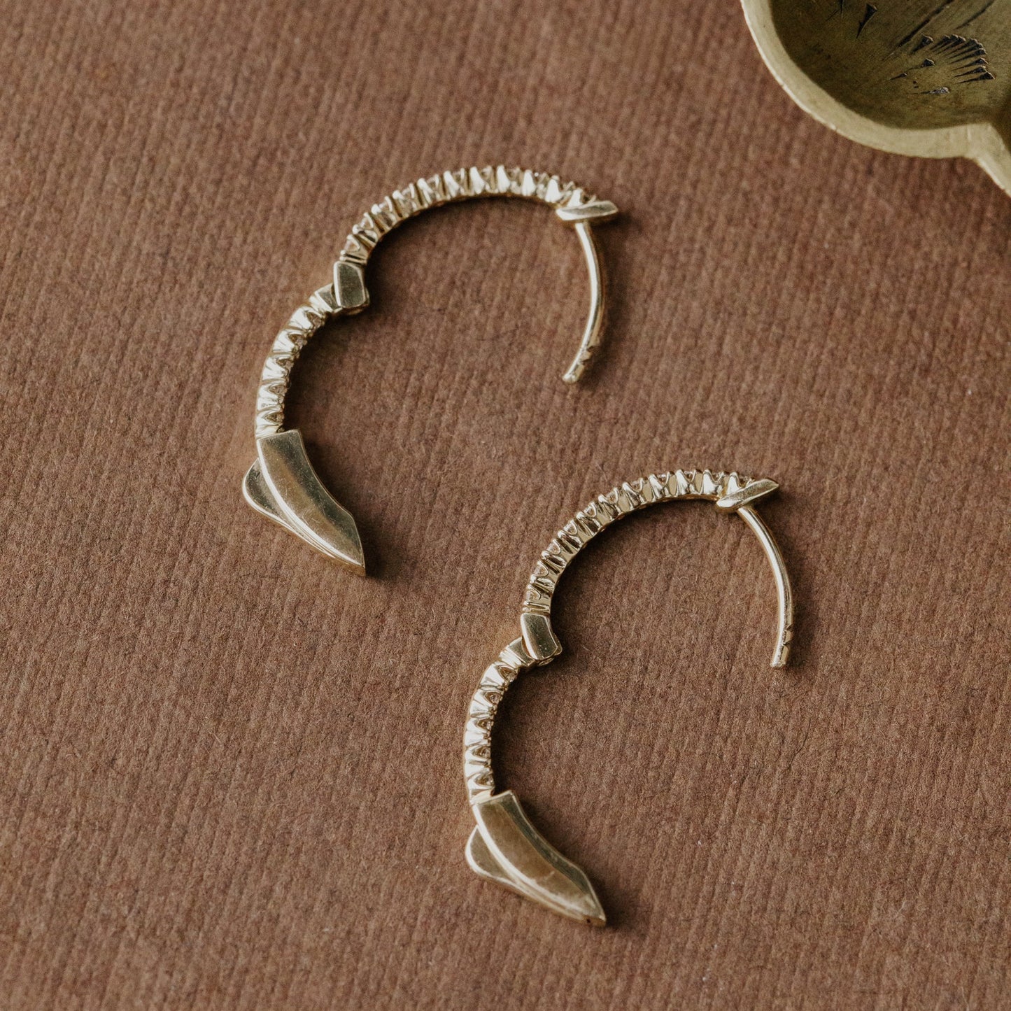 Oval Inside Out Hoop Earrings