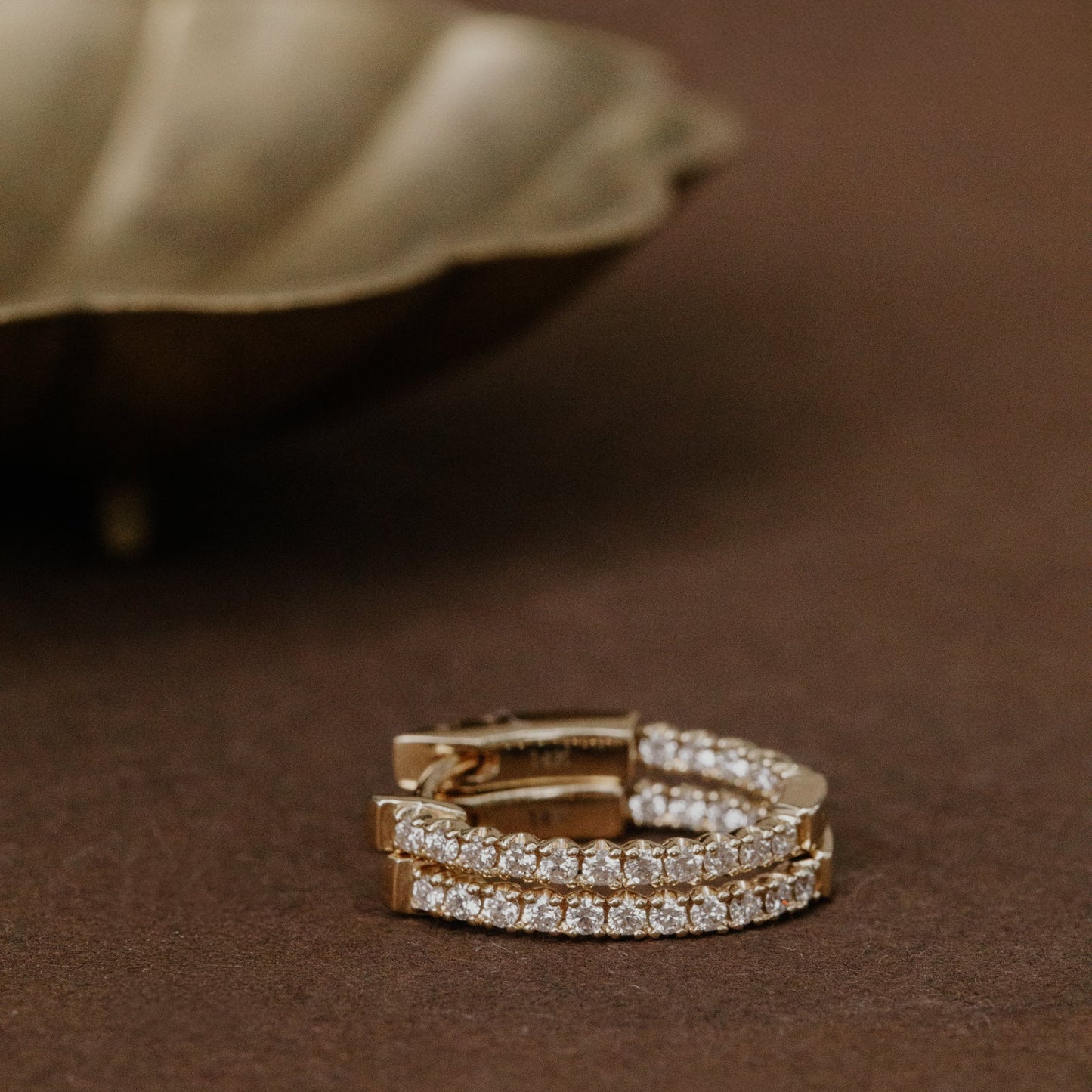 Oval Inside Out Hoop Earrings