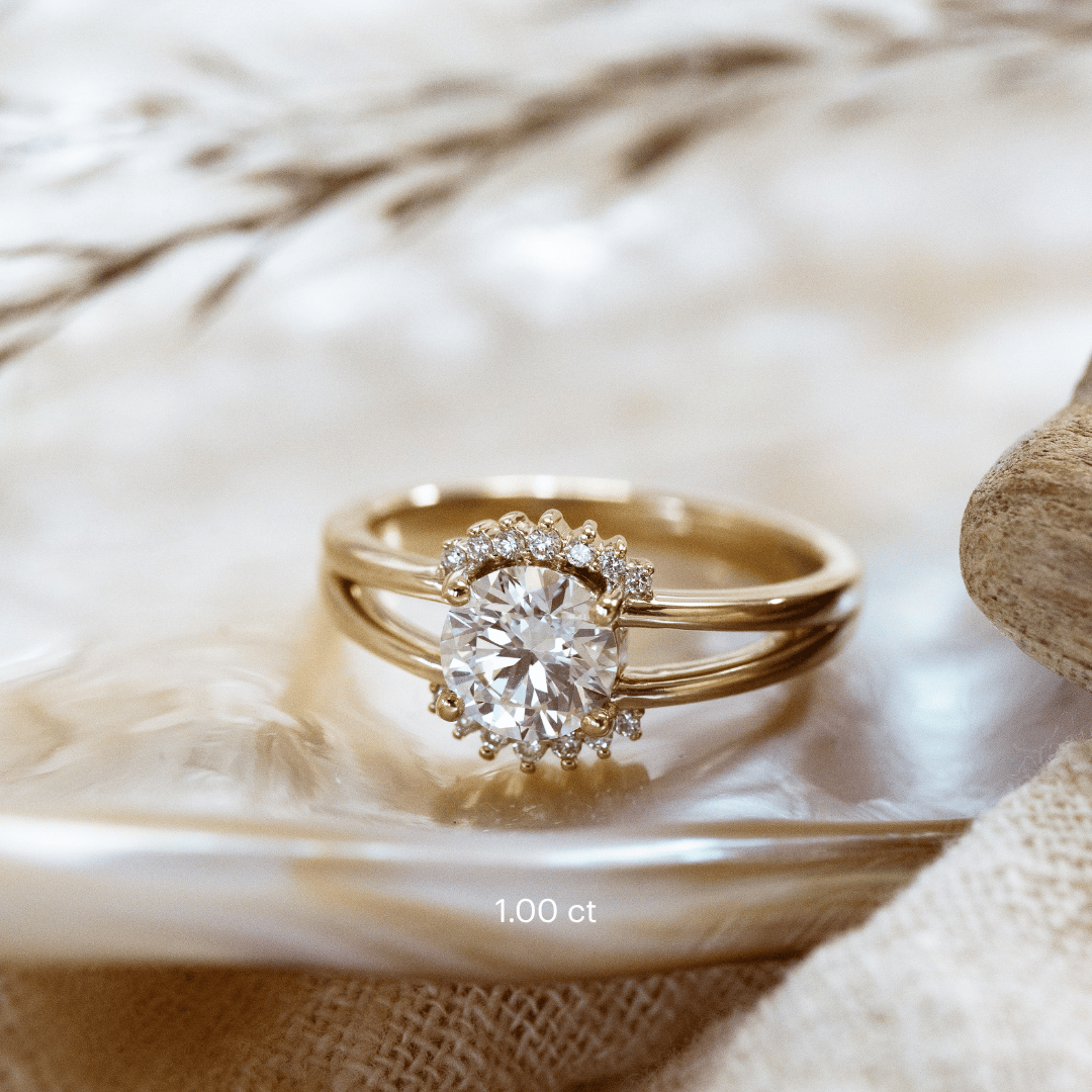 The Hampton Round Ring in 14k yellow gold featuring a lab-grown round diamond center stone with starburst diamond halo on a split shank band, displayed in a shell alongside dried botanical stems. The Hampton Round Ring is made in 14k gold, featuring a round center stone with ~.09 cttw round starburst diamonds, set on a split shank band. The entire design is set flush to the finger. This ring is made-to-order based on the selected customizations.