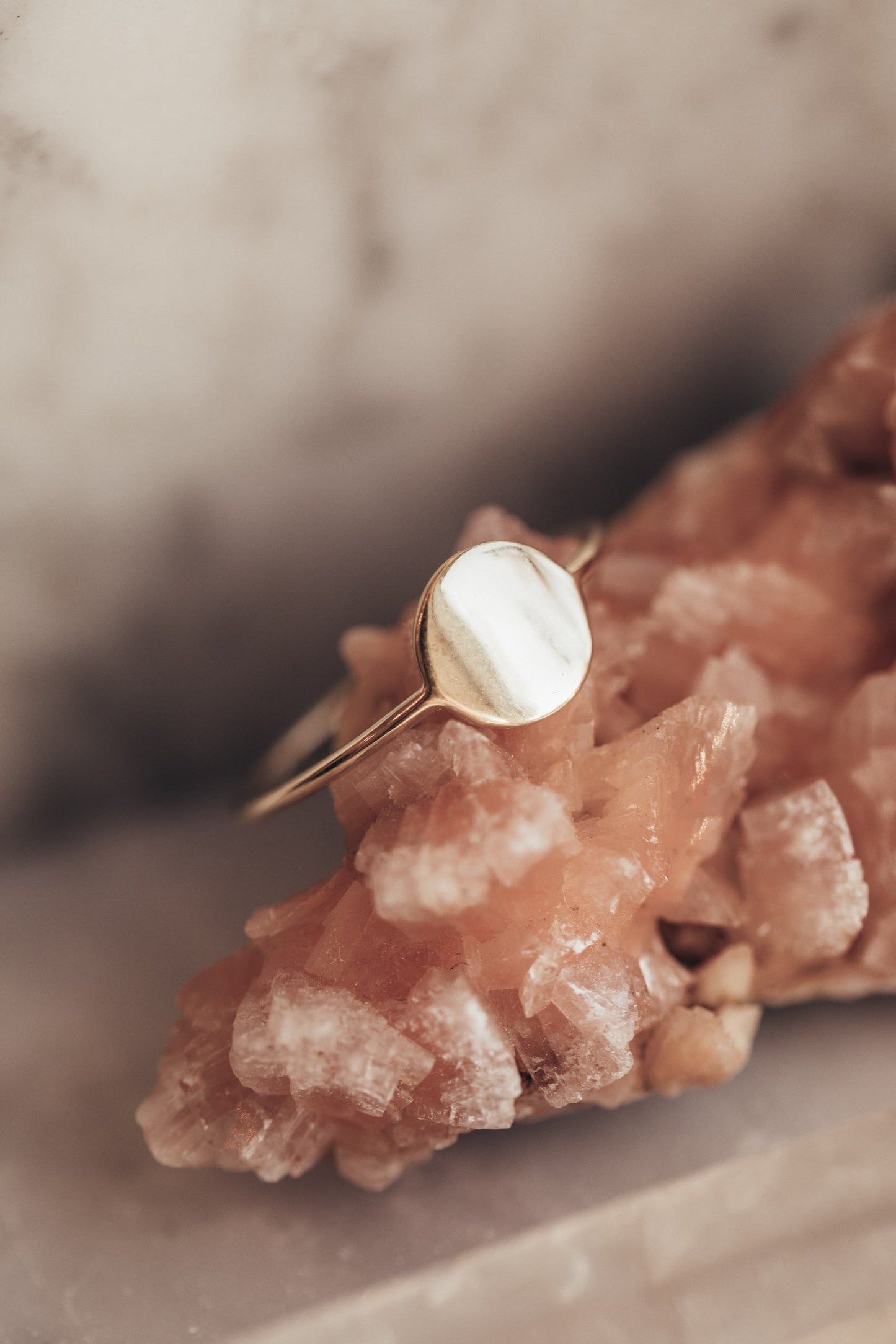 The Circle ID Ring