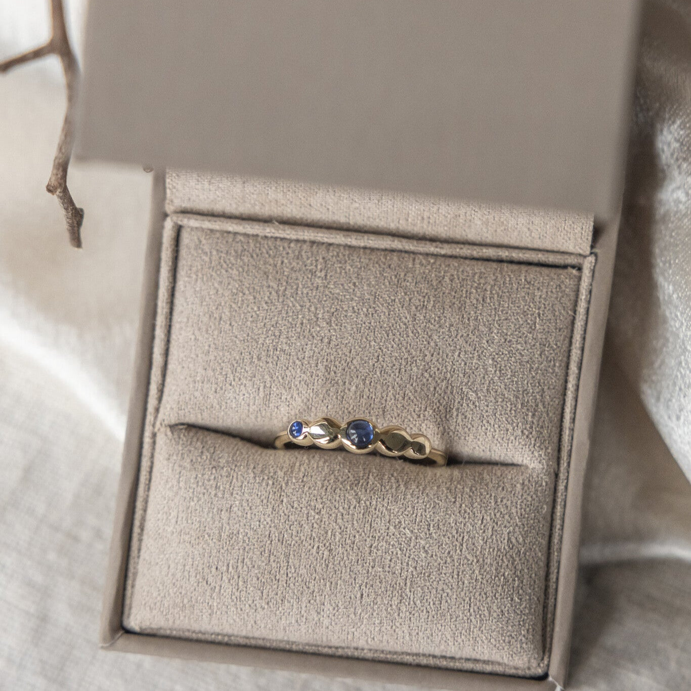 Two Sapphires with Circular Gold Accents Ring