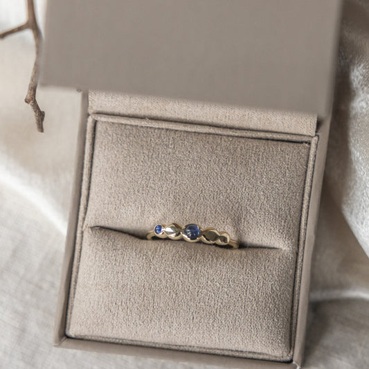 Two Sapphires with Circular Gold Accents Ring