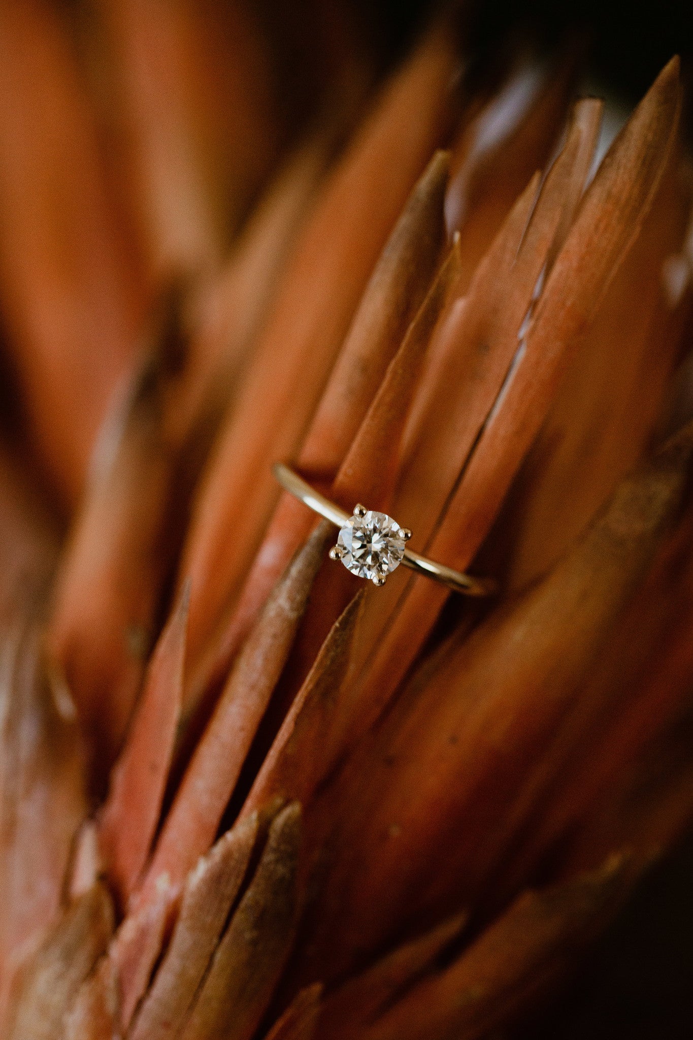 The Mini Maeve Round Solitaire