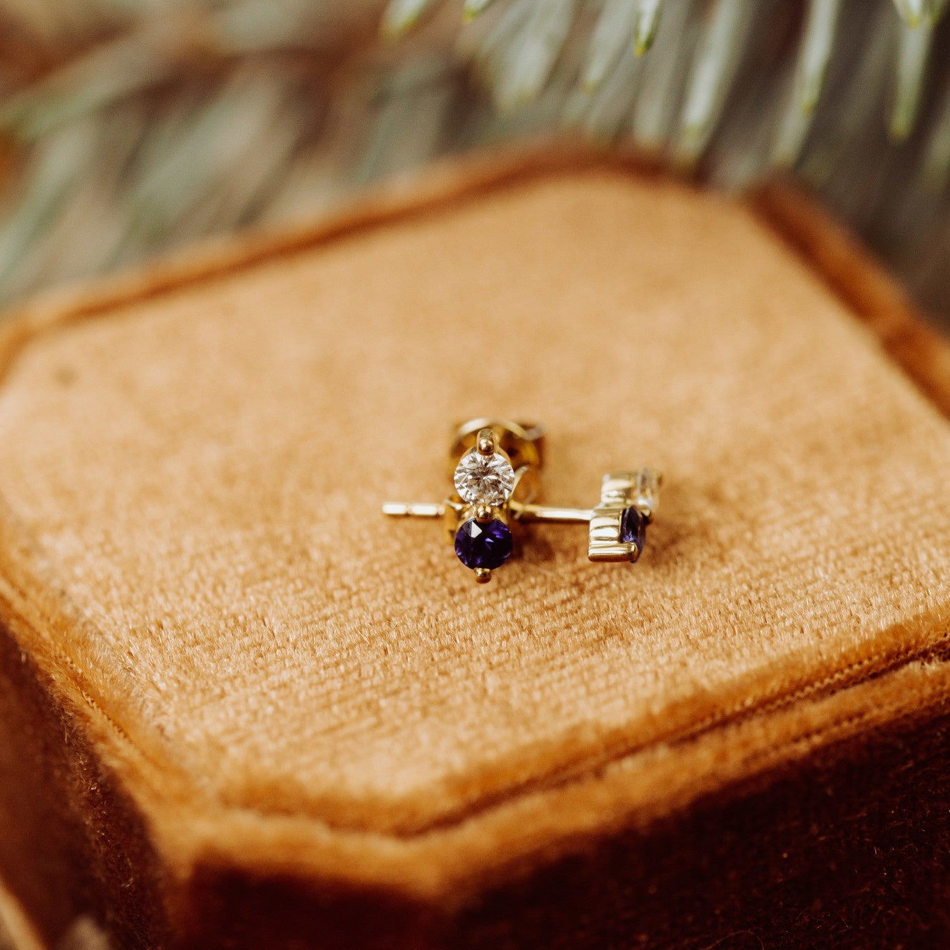 A pair of gold stud earrings featuring a round diamond and a round sapphire side by side, placed on a brown velvet box with a soft focus on pine needles in the background.