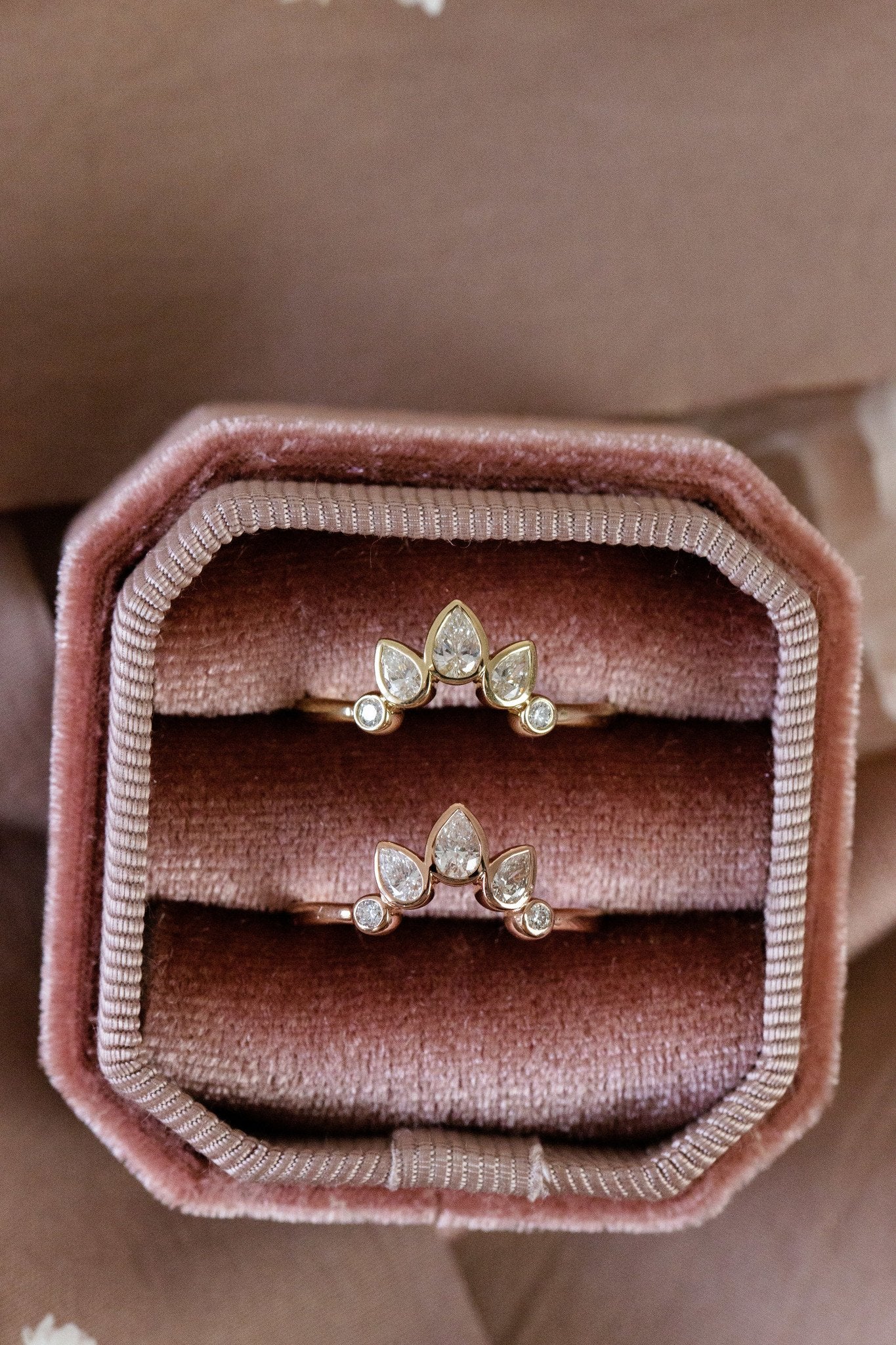 The Meadow Tracer Band