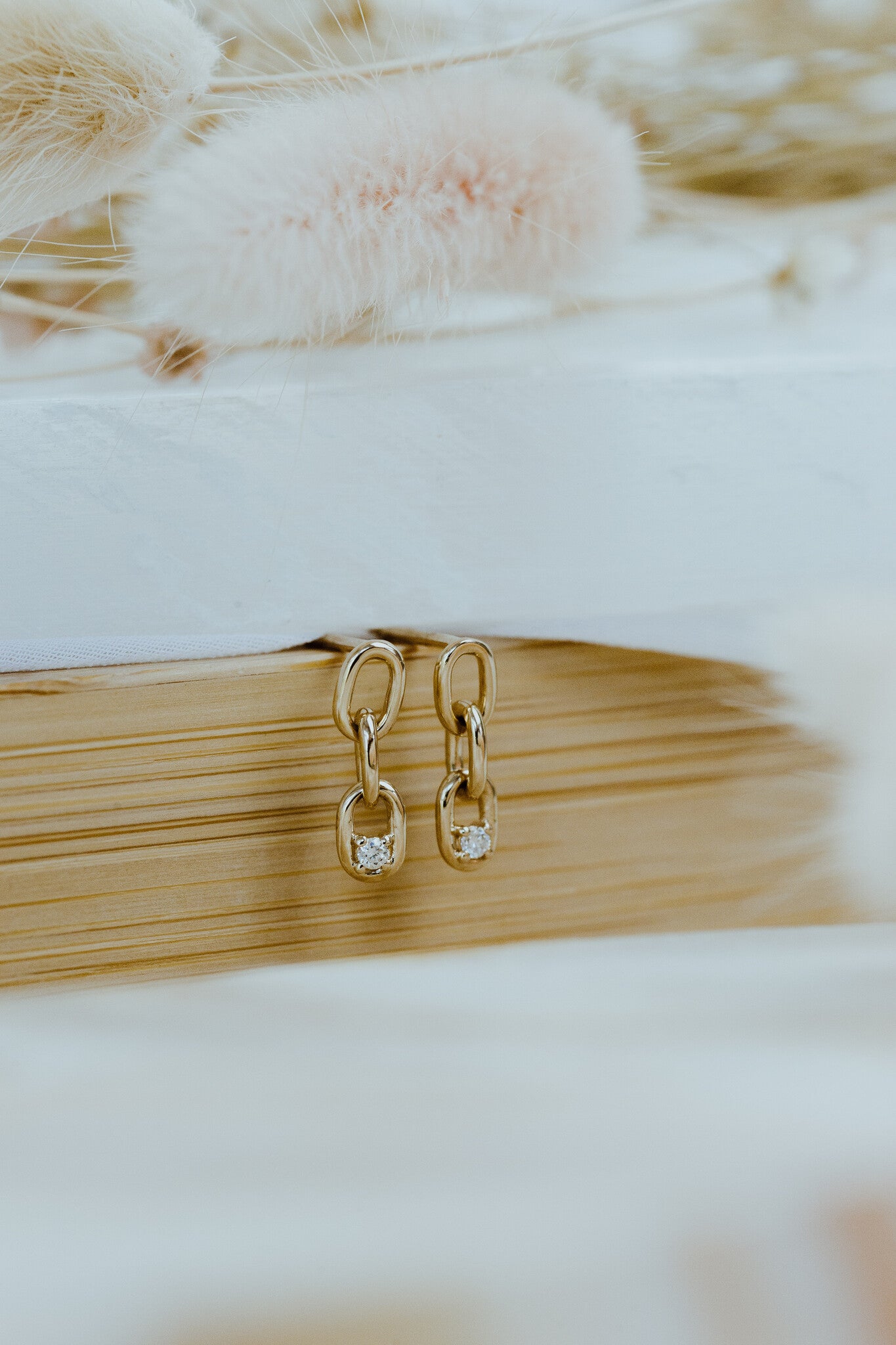 Diamond in Chain Link Earrings