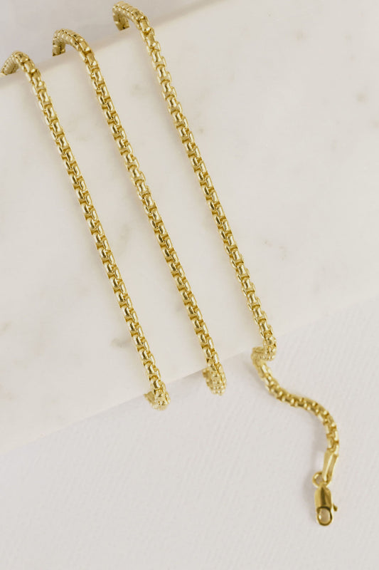 Solid Rounded Box Chain Necklace
