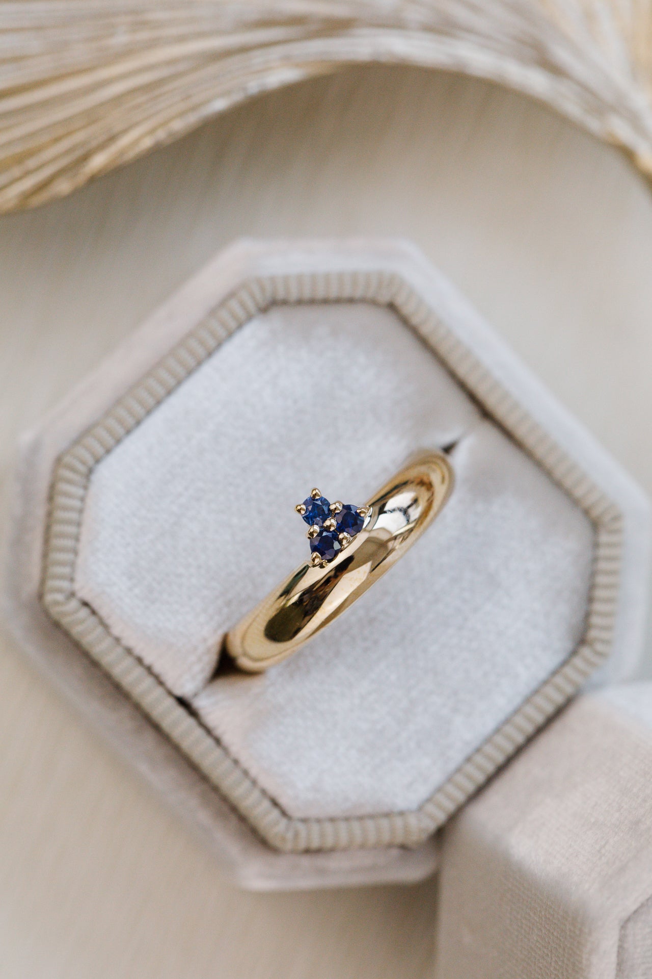 Rounded Band with Sapphire Cluster Ring