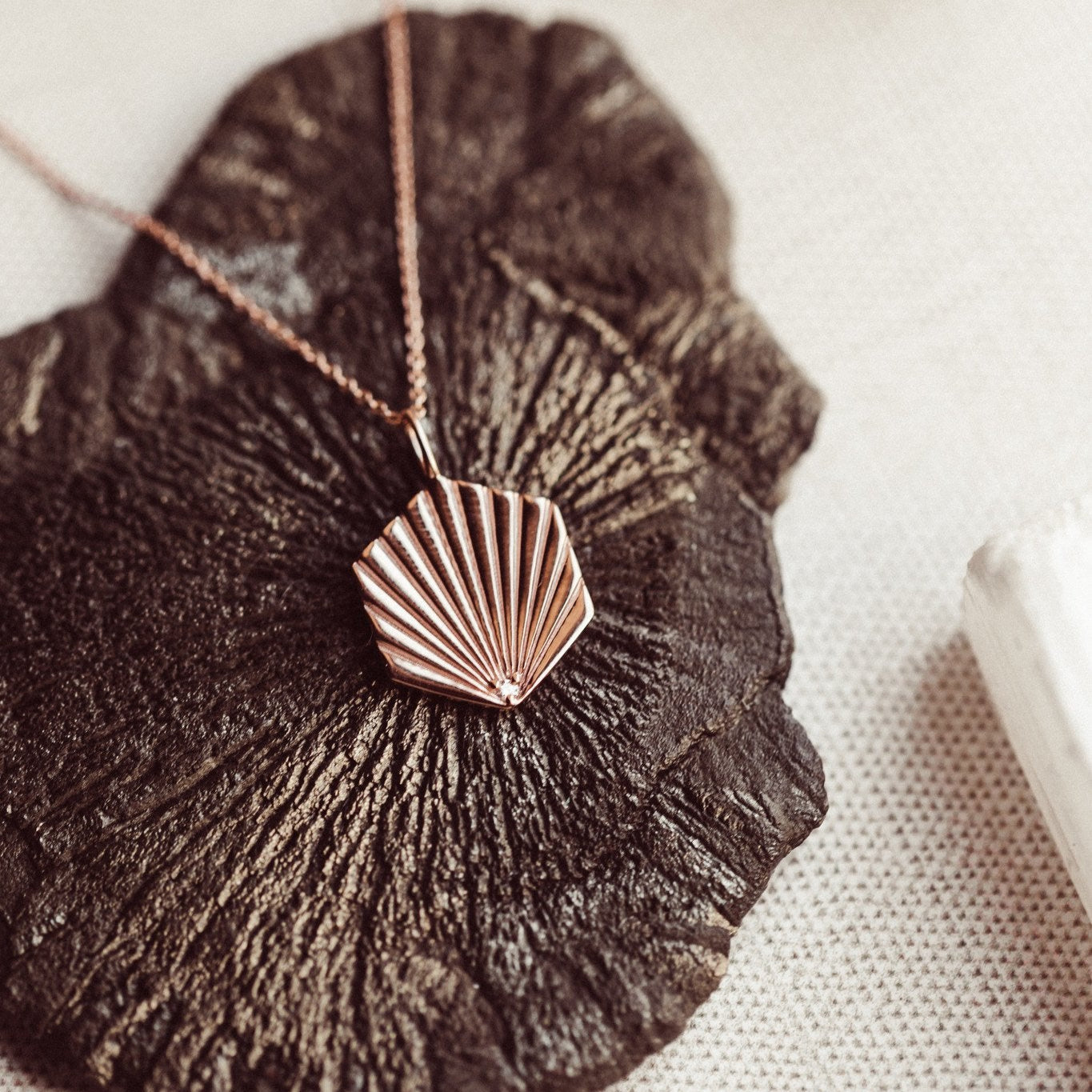 Rose gold necklace with a shell pendant on a textured surface